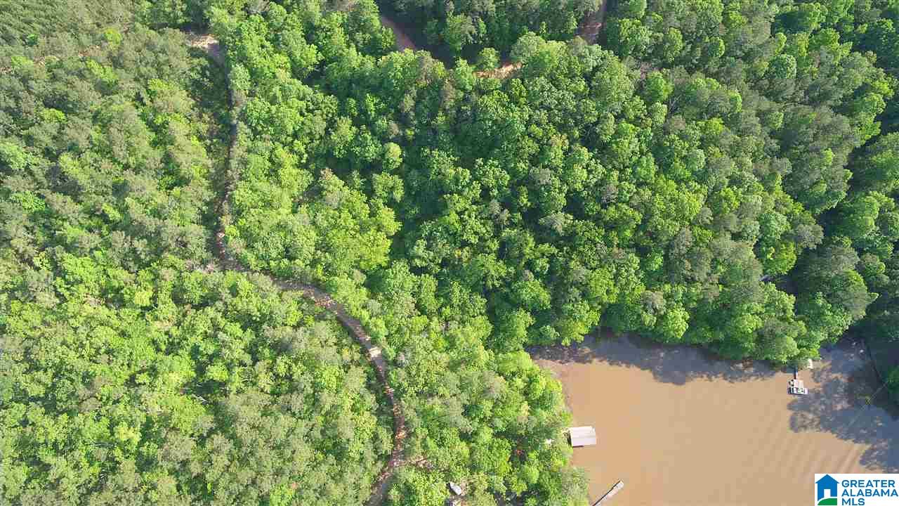 9901 County Road, Unit 5 35 Wedowee, AL 36278 - Photo 3 of 5