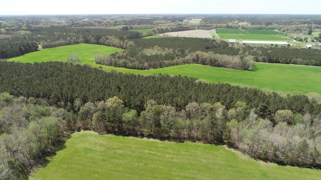 0 Big Road Bloxom, VA 23308 - Photo 20 of 28