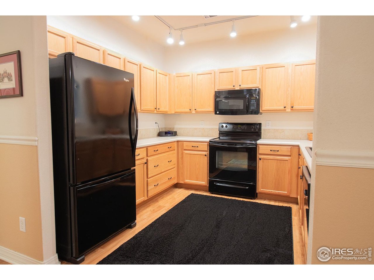 4672 West 20th Road, Unit 1012 Greeley, CO 80634 - Photo 9 of 23