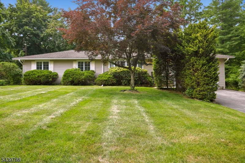 41 Carey Road Succasunna, NJ 07876 - Photo 2 of 21