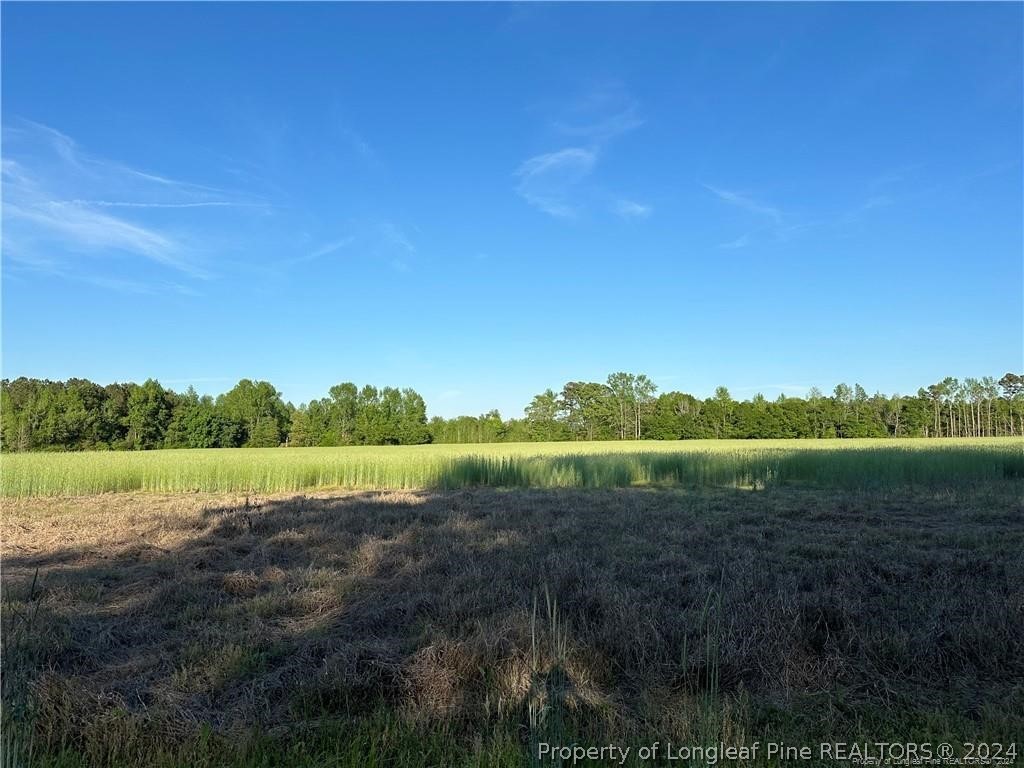 Lot 4 Hayes Rd Spring Lake Spring Lake, NC 28390 - Photo 6 of 6 Gallery Image 6