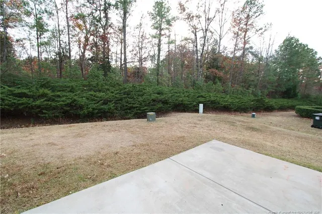 a view of a yard with plants and trees