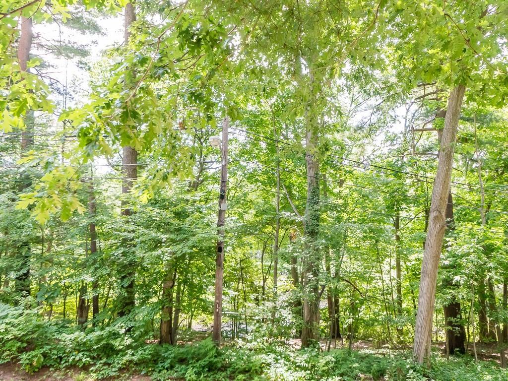 600 Quinobequin Road Newton, MA 02468 - Photo 23 of 24