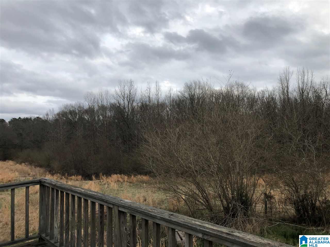 433 County Road 110 Randolph, AL 36792 - Photo 10 of 12
