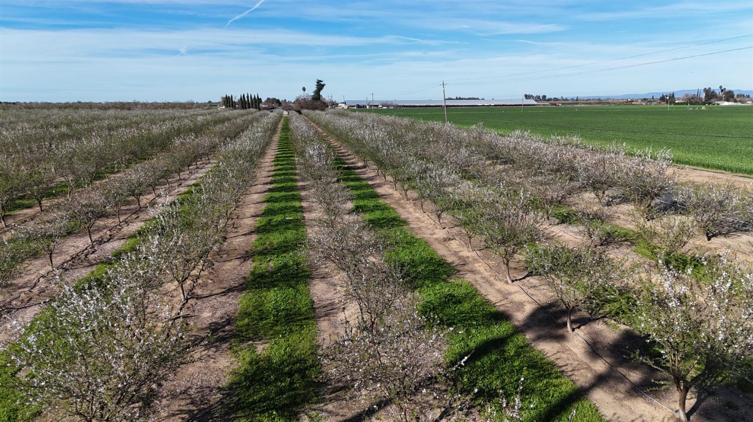 17751 Sexton Road Escalon, CA 95320 - Photo 8 of 8