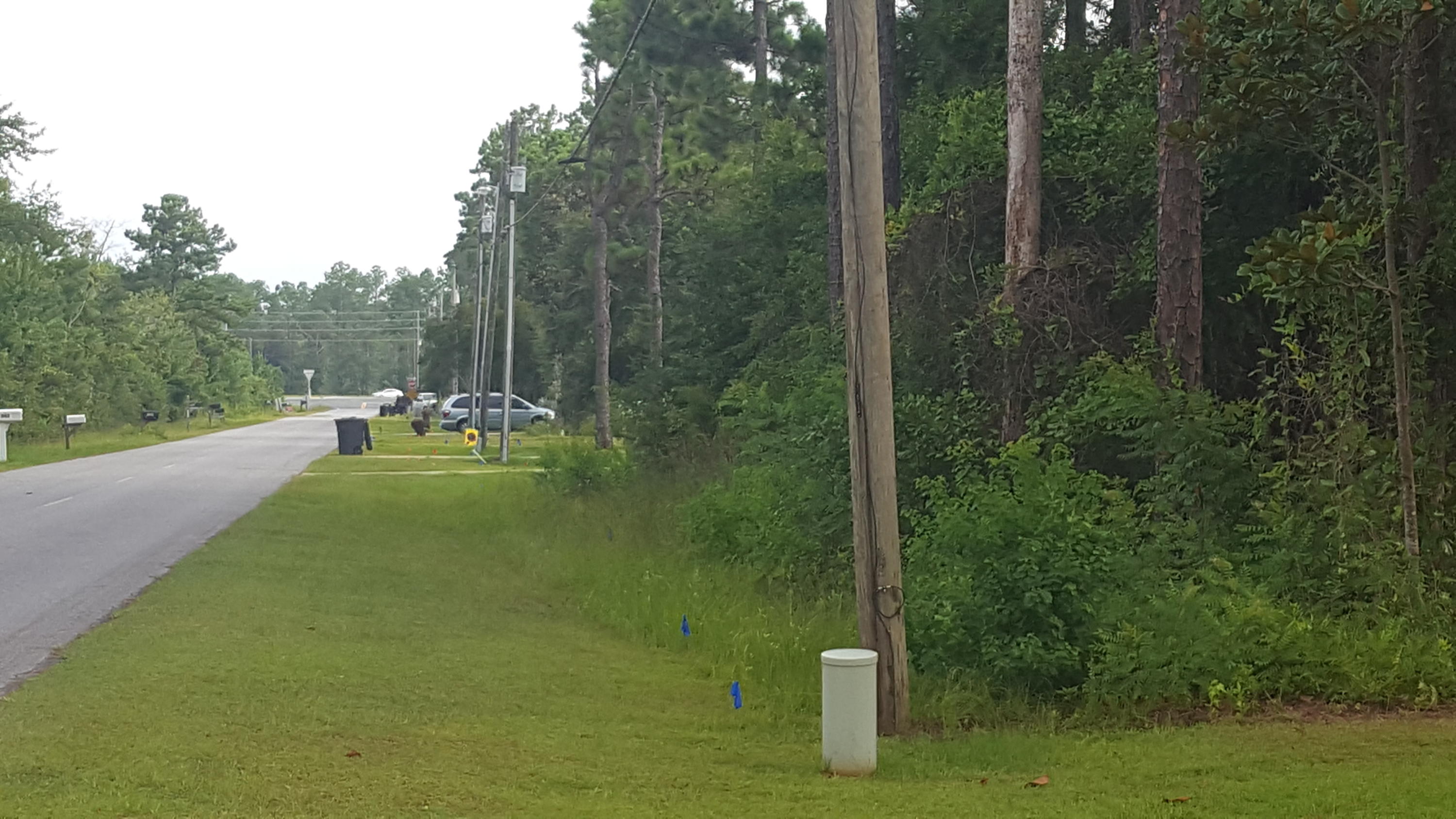 Xx Bay Grove Road Freeport, FL 32439 - Photo 2 of 12 a view of a tiny house with yard