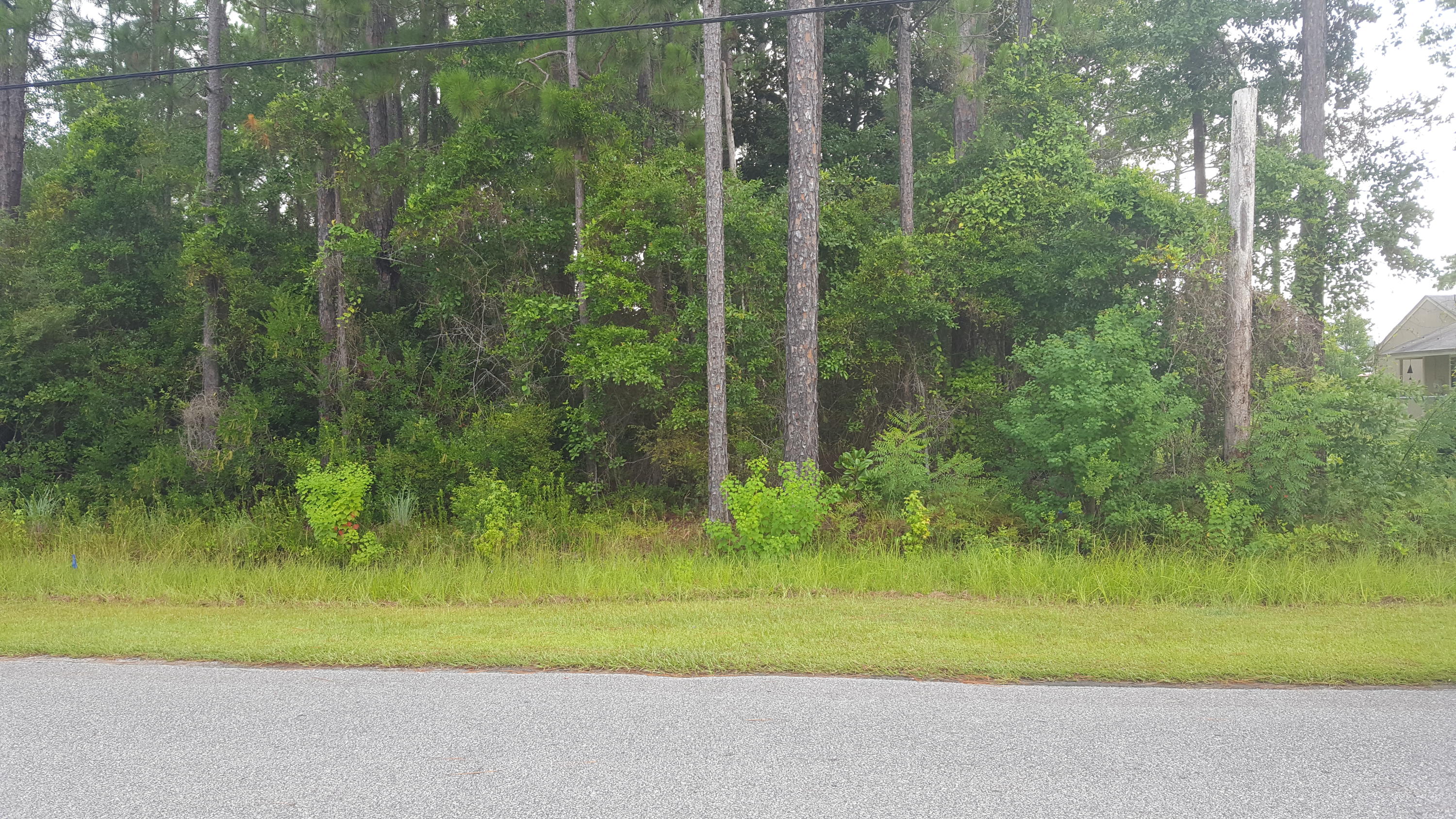 Xx Bay Grove Road Freeport, FL 32439 - Photo 3 of 12 a view of a garden