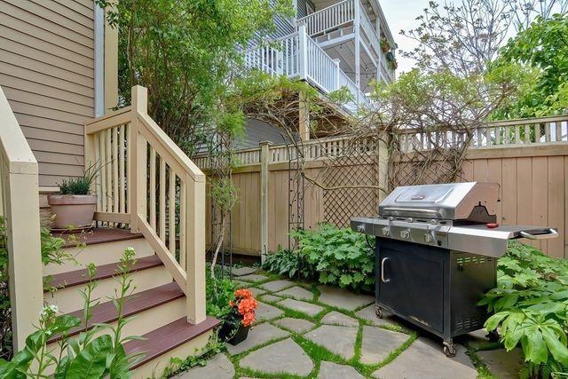 a view of a garden with plants and large trees