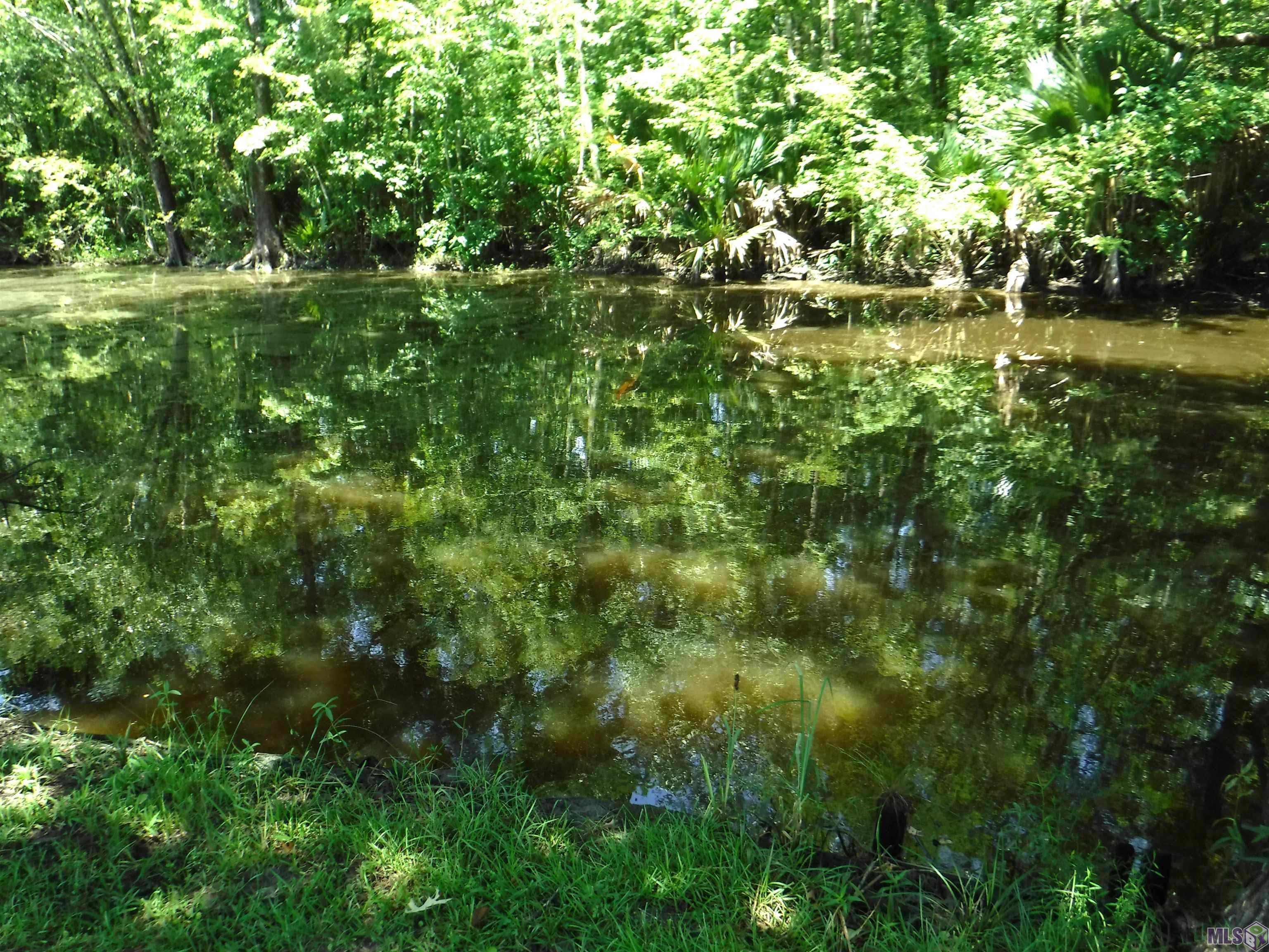 8369 Phillips Road St. Amant, LA 70774 - Photo 17 of 18 Bayou Francois