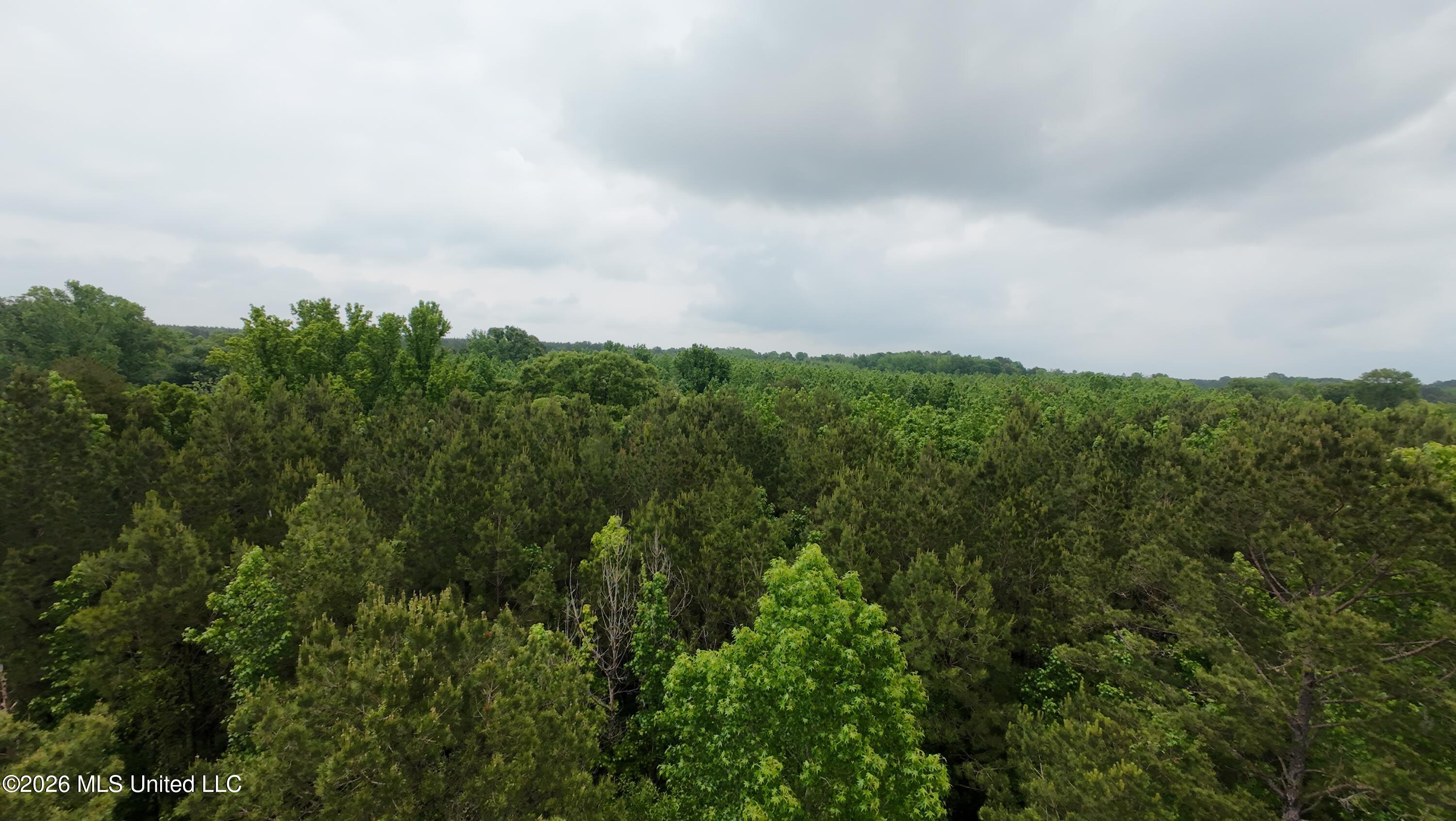 6936 Hillsboro-Ludlow Road Forest, MS 39074 - Photo 13 of 22 DJI_20260429131226_0139_D