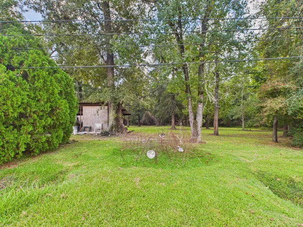 a view of a backyard with a garden and trees
