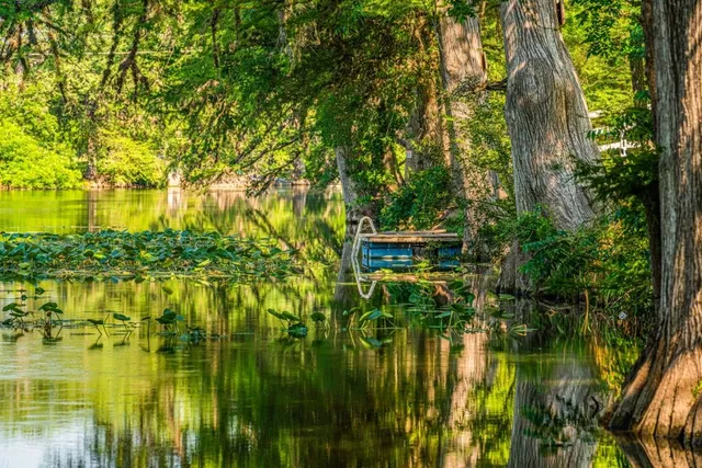 a view of a lake from a yard