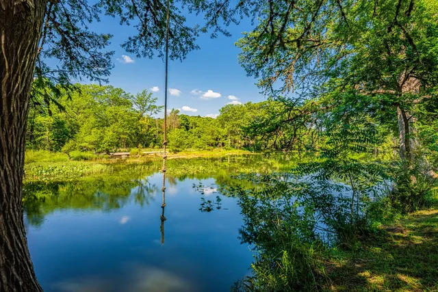 a view of a park with large trees