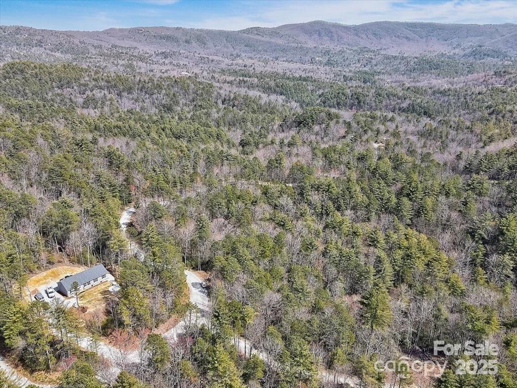 99 Oak Laurel Road Brevard, NC 28712 - Photo 8 of 23 Gallery Image 8