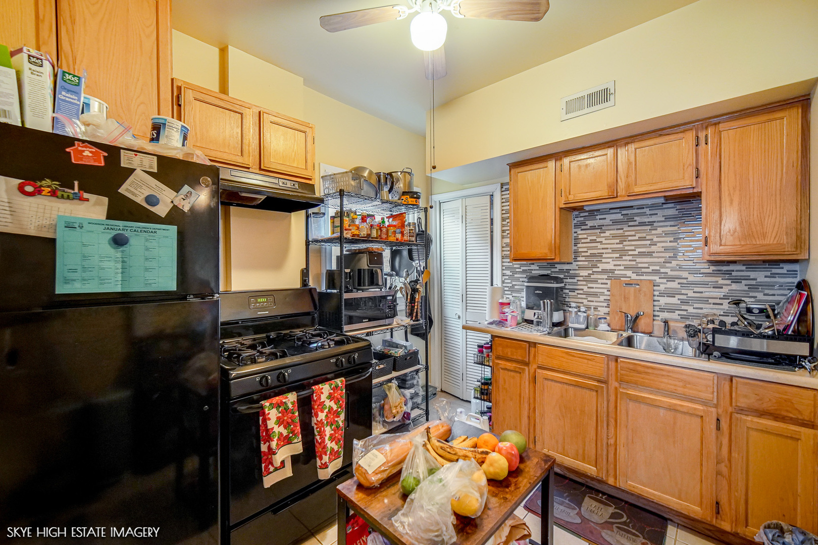 9323 South Rhodes Avenue Chicago, IL 60619 - Photo 21 of 27