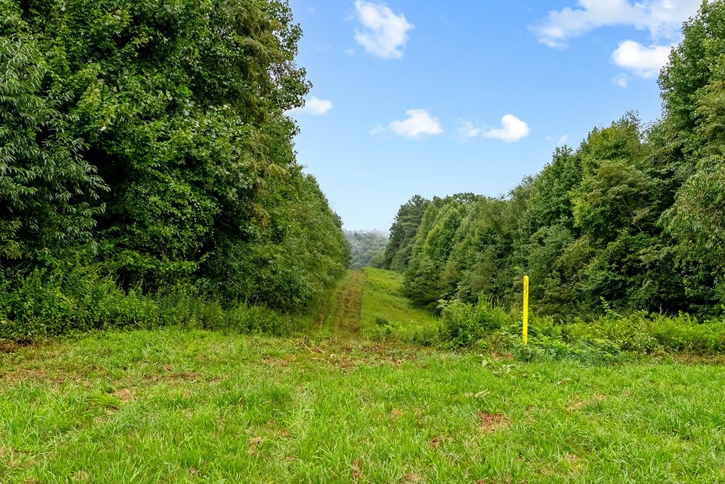 Tbd Hemlock Ridge Road Hillsville, VA 24343 - Photo 36 of 42 Gallery Image 36