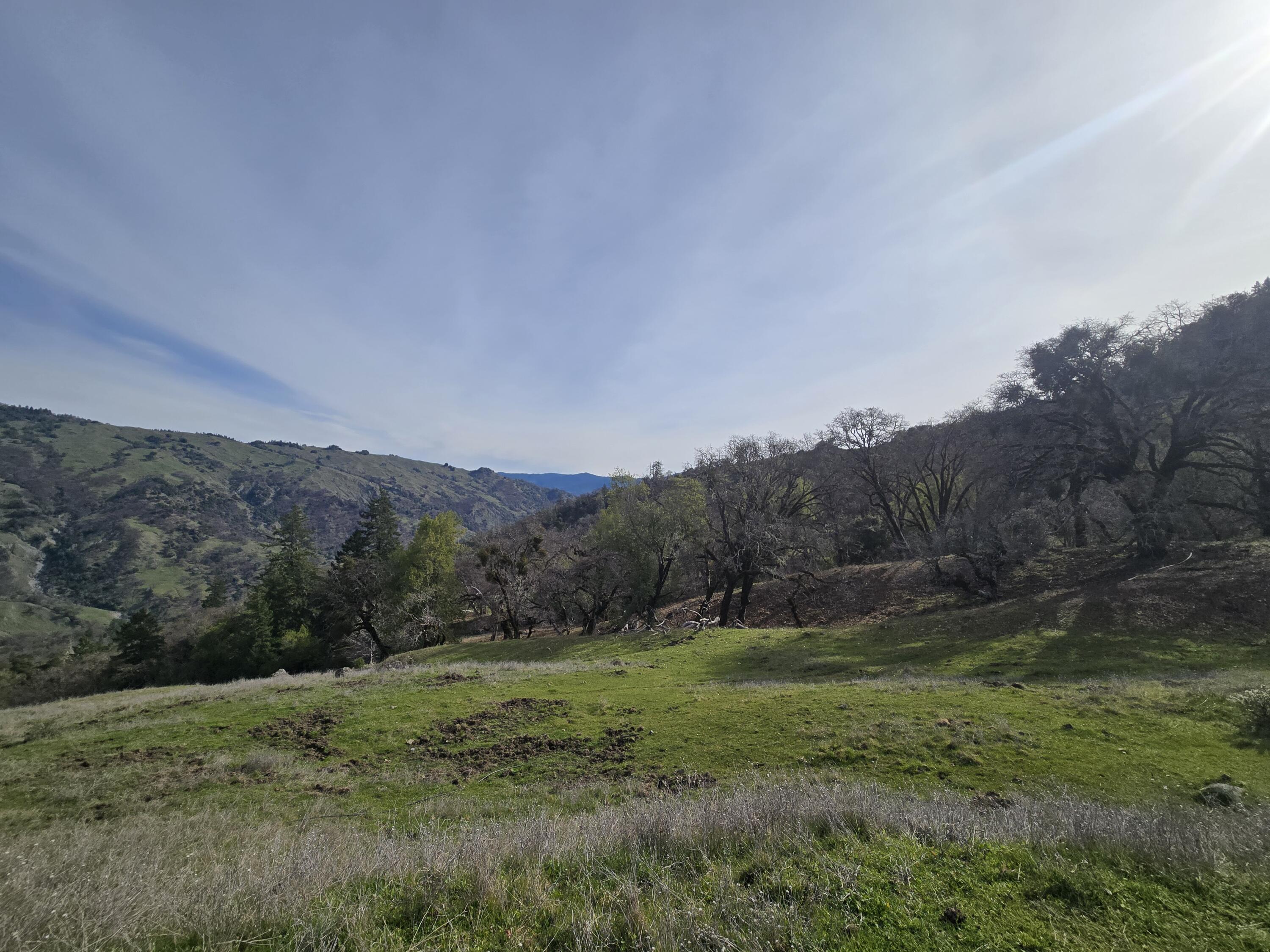 3461 Raff Crk Road Garberville, CA 95542 - Photo 3 of 32