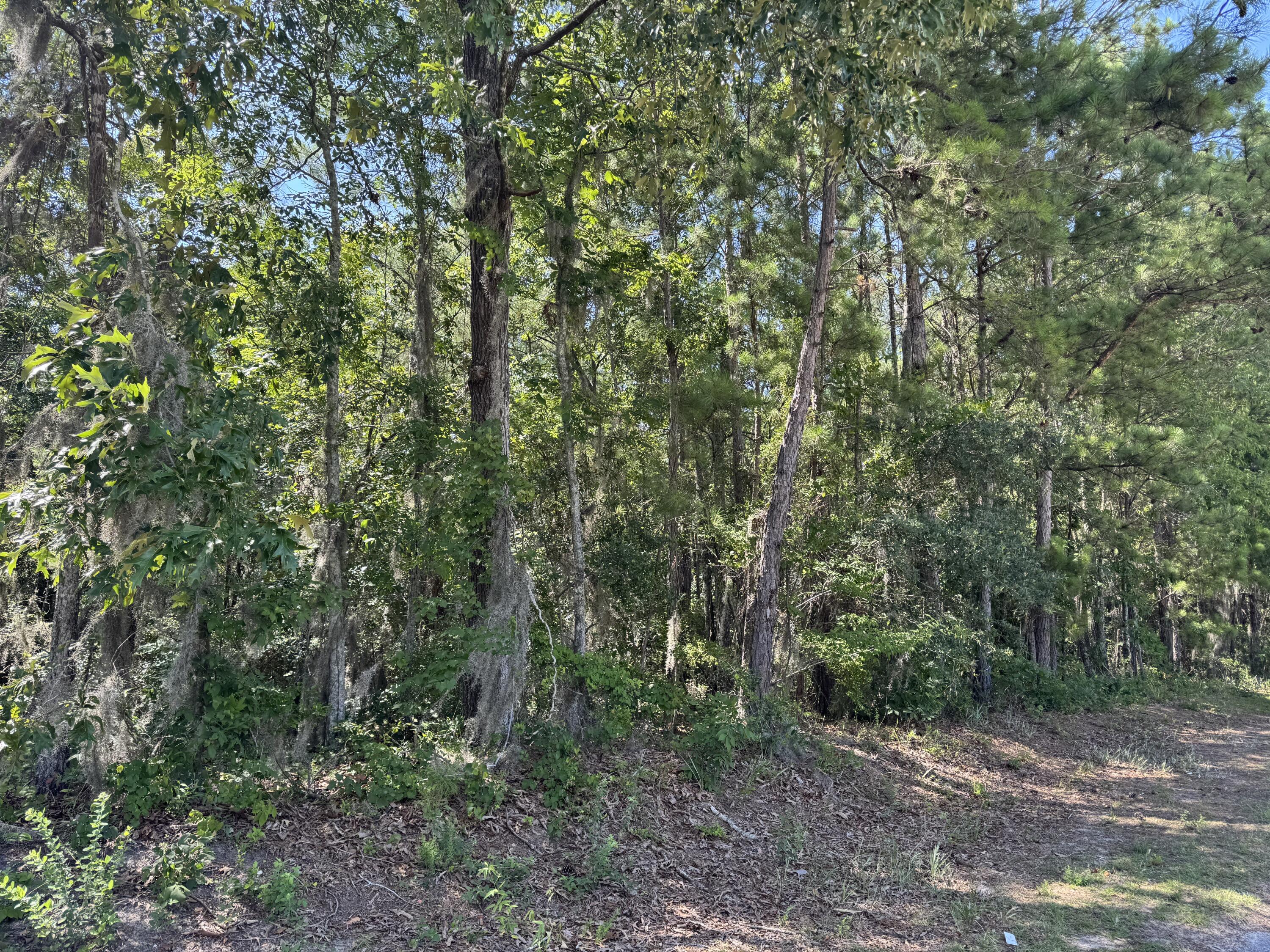 2 Tabernacle Road Eutawville, SC 29048 - Photo 2 of 7 IMG_7937