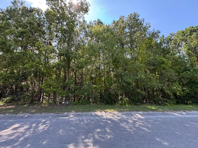$45,000 | 2 Tabernacle Road, Eutawville, SC 29048