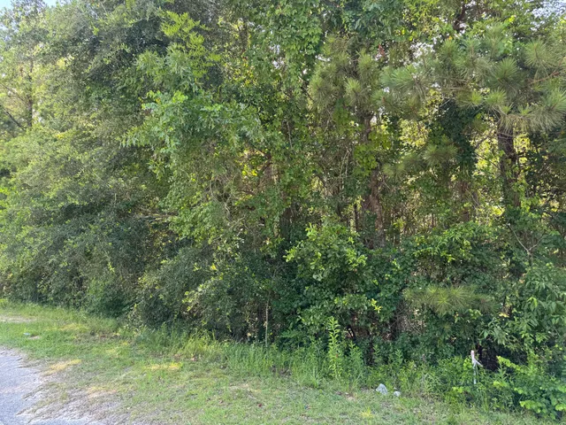 $45,000 | 2 Tabernacle Road, Eutawville, SC 29048