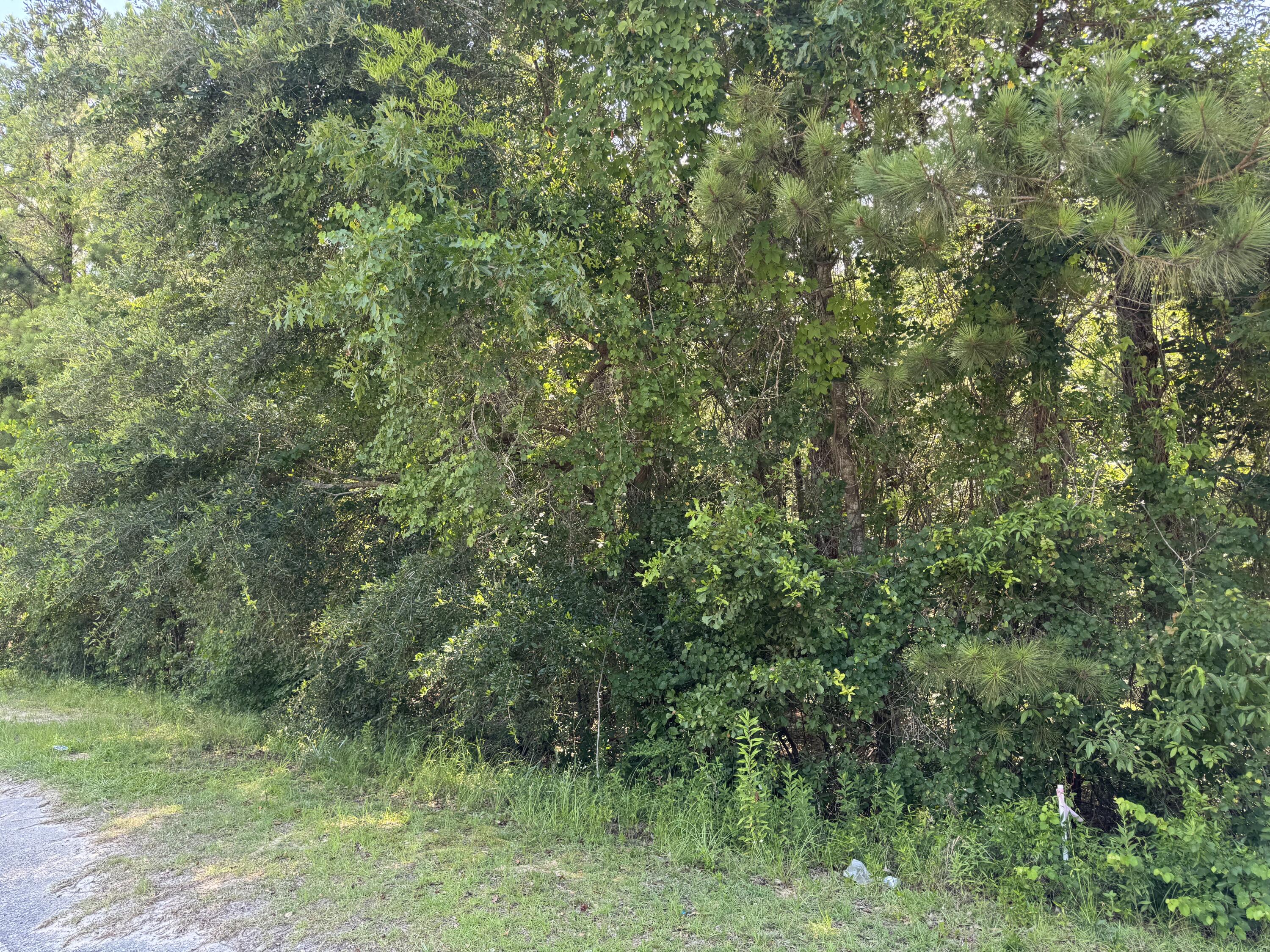 2 Tabernacle Road Eutawville, SC 29048 - Photo 5 of 7 IMG_7940