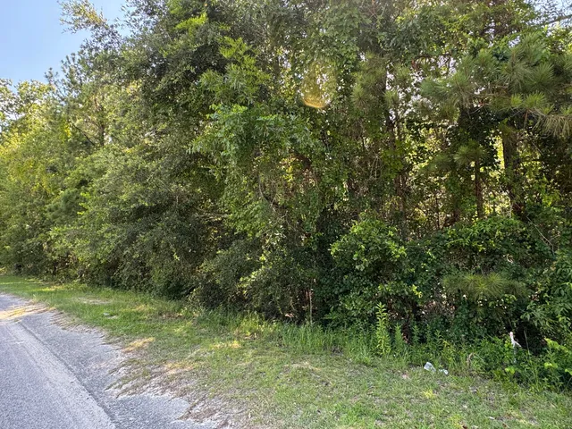 $45,000 | 2 Tabernacle Road, Eutawville, SC 29048