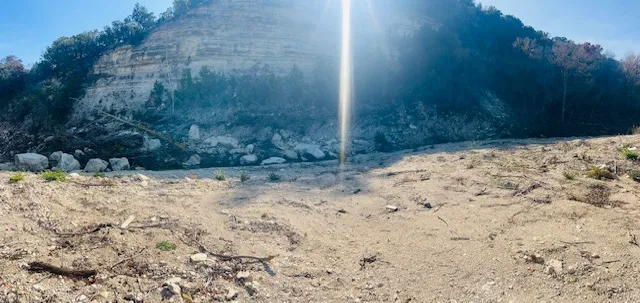 a view of a yard covered in snow