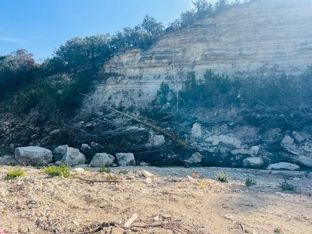 a view of a backyard of the house