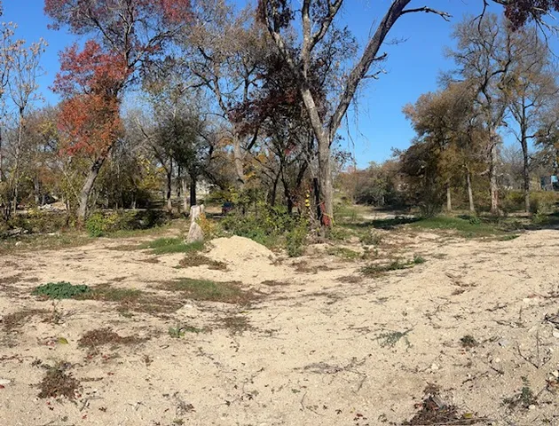 a view of a yard with a tree