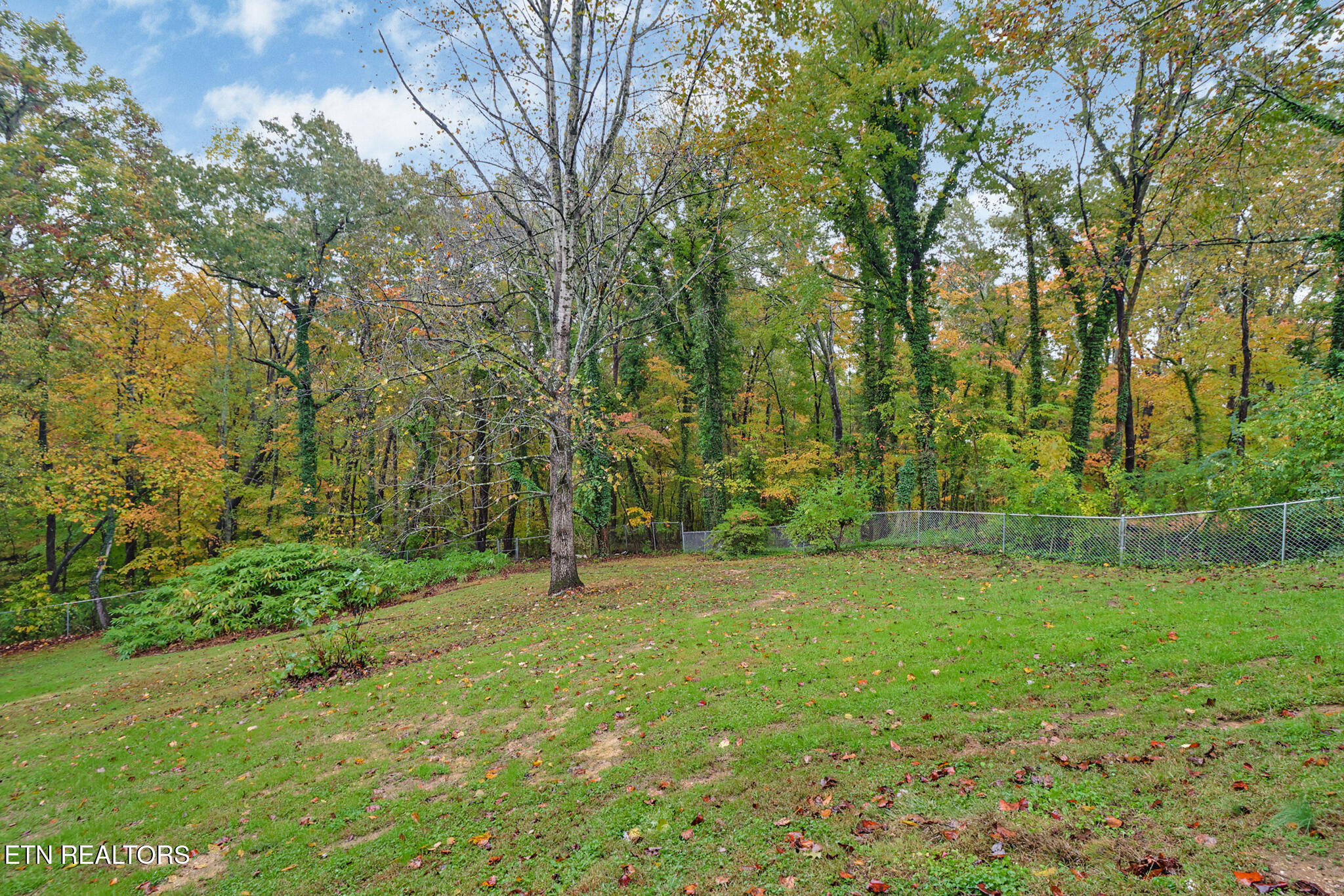 109 Wakefield Road Oak Ridge, TN 37830 - Photo 31 of 35 W-back yard 2