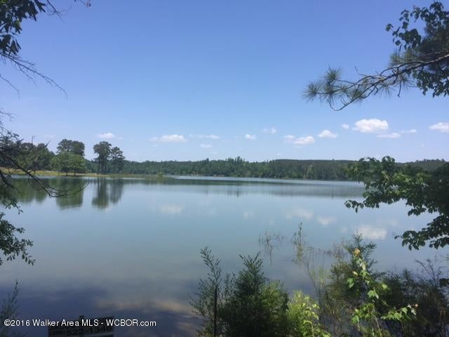 South Dogwood Road Double Springs, AL 35553 - Photo 3 of 15 Gallery Image 3