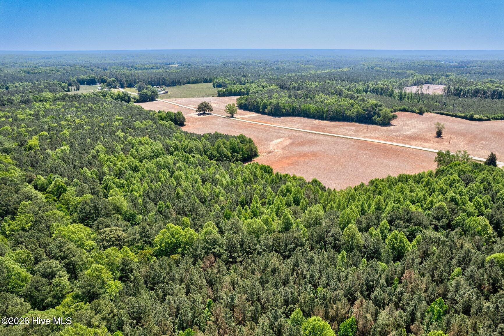 0 Seven Paths Road Spring Hope, NC 27882 - Photo 6 of 7 006-Land-SpringHope-SMALL