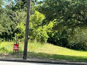 a view of a yard with an trees