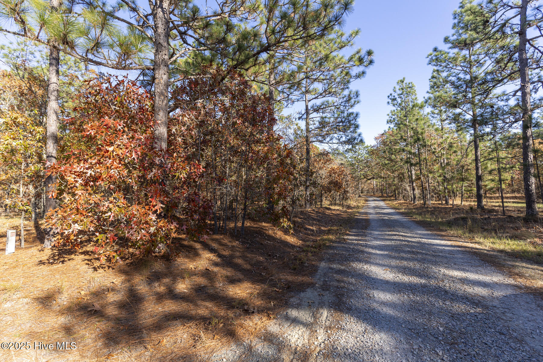 465 Roundabout Road Carthage, NC 28327 - Photo 5 of 10 465 Roundabout Rd_3