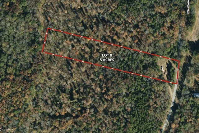 a view of a yard with plants and a trees