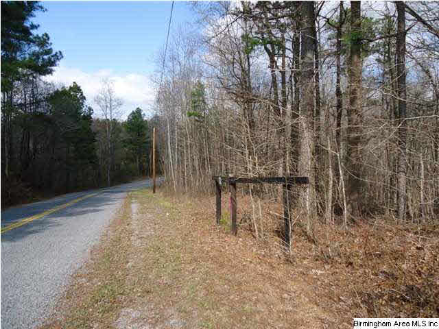 Loop Road Steele, AL 35987 - Photo 4 of 17