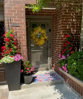 a the potted plant sitting in front of a house