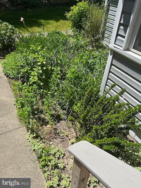 8090 Bozman Neavitt Road St. Michaels, MD 21663 - Photo 33 of 33 a view of a backyard