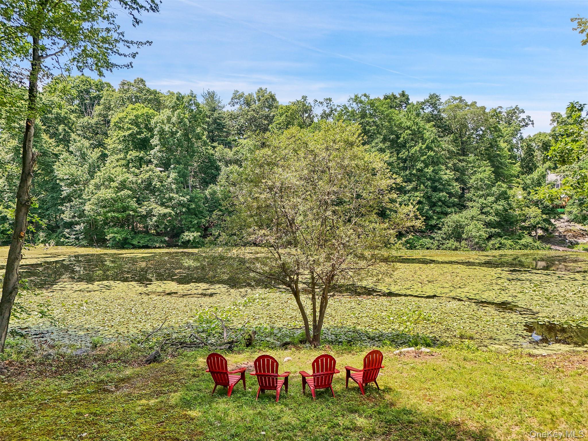 18 Sylvan Road Lake Peekskill, NY 10537 - Photo 38 of 50 Back yard with views of Jr. Lake blooming with lily pads!