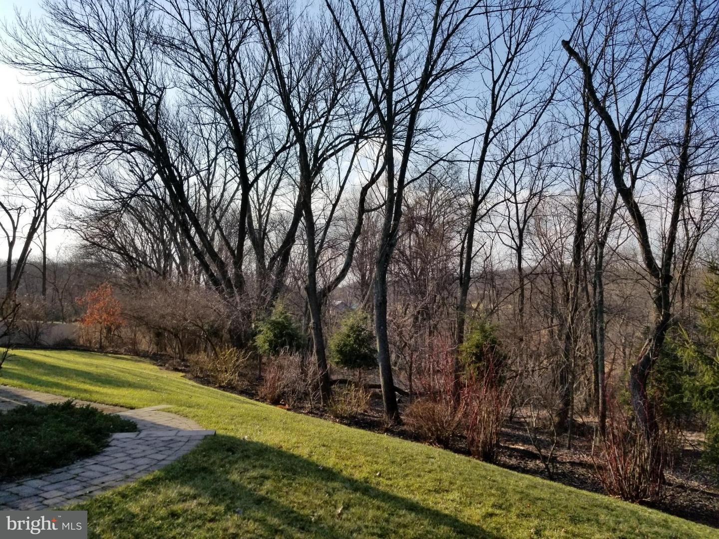 29 Rutherford Court Limerick, PA 19468 - Photo 4 of 21 Back Yard