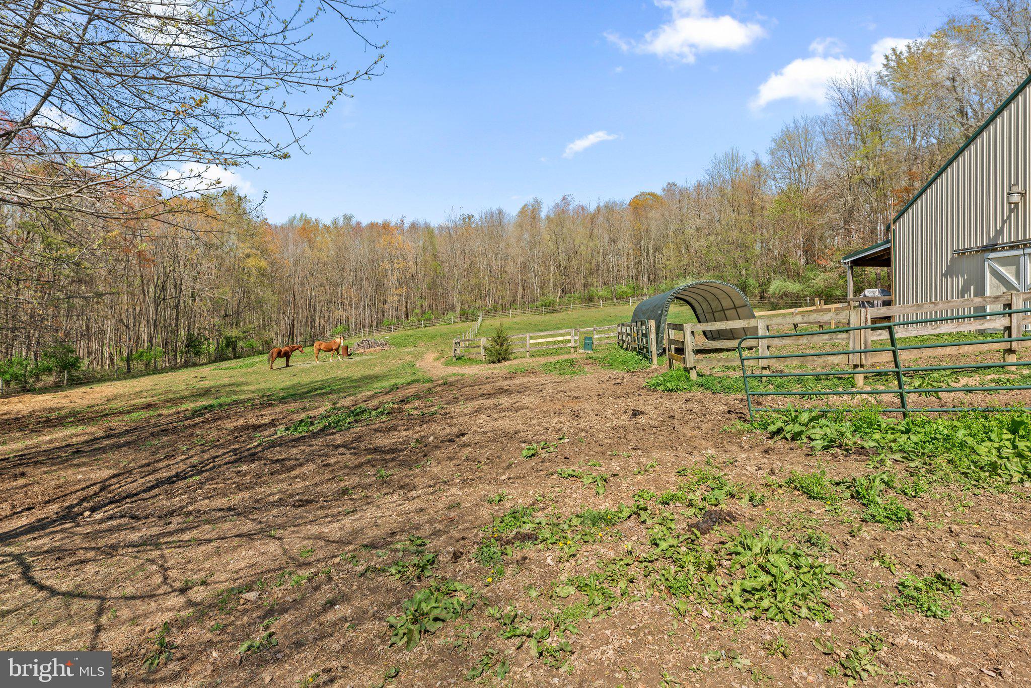 10855 Bethesda Church Road Damascus, MD 20872 - Photo 74 of 92