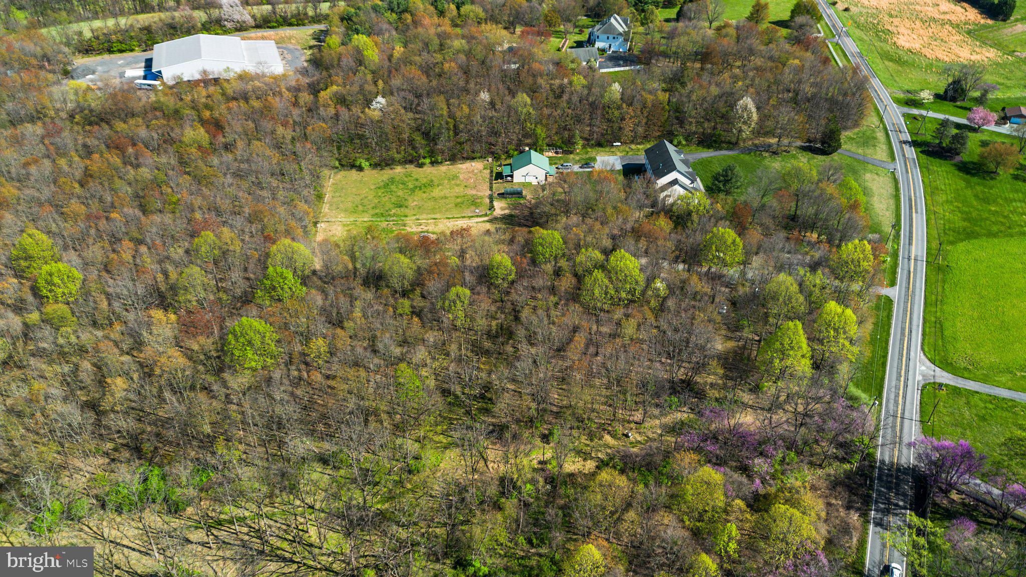 10855 Bethesda Church Road Damascus, MD 20872 - Photo 91 of 92 a view of yard with green space