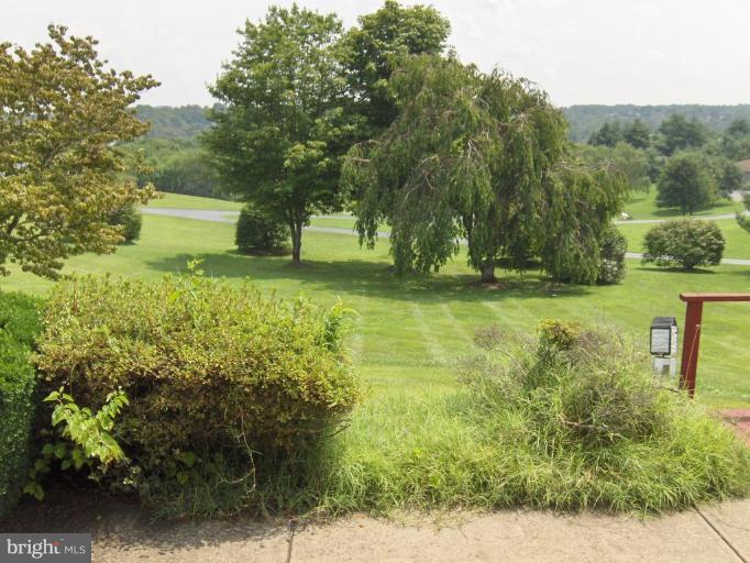 4507 Green Valley Road Monrovia, MD 21770 - Photo 2 of 21 Back yard