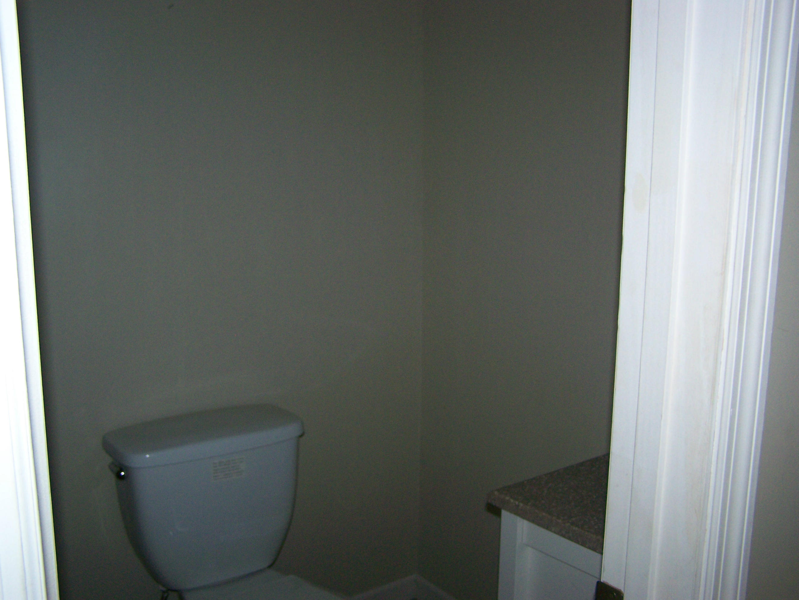 8112 Corryton Road Corryton, TN 37721 - Photo 15 of 19 Master Bath