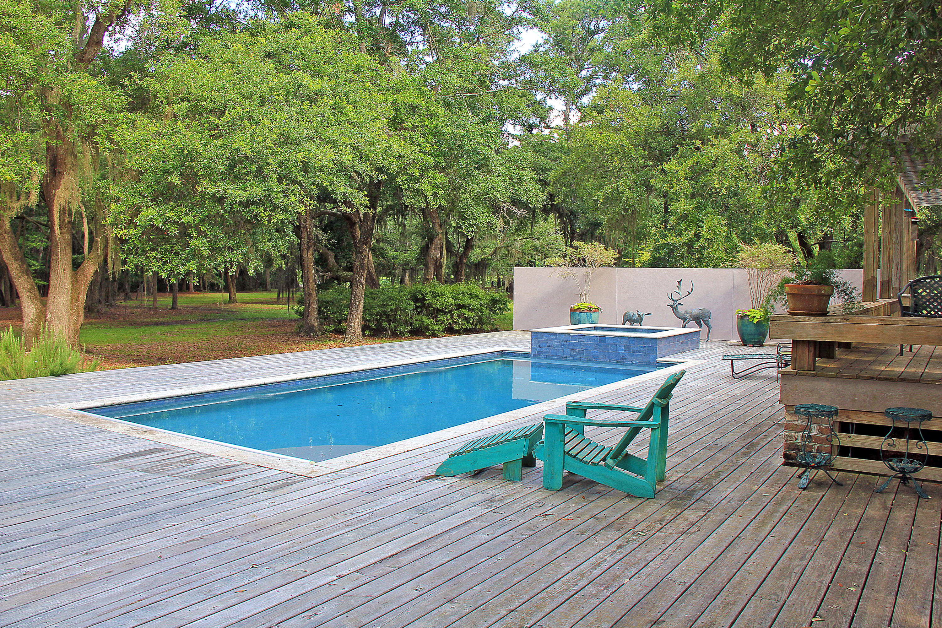 6775 Bears Bluff Road Wadmalaw Island, SC 29487 - Photo 20 of 26 Pool and deck