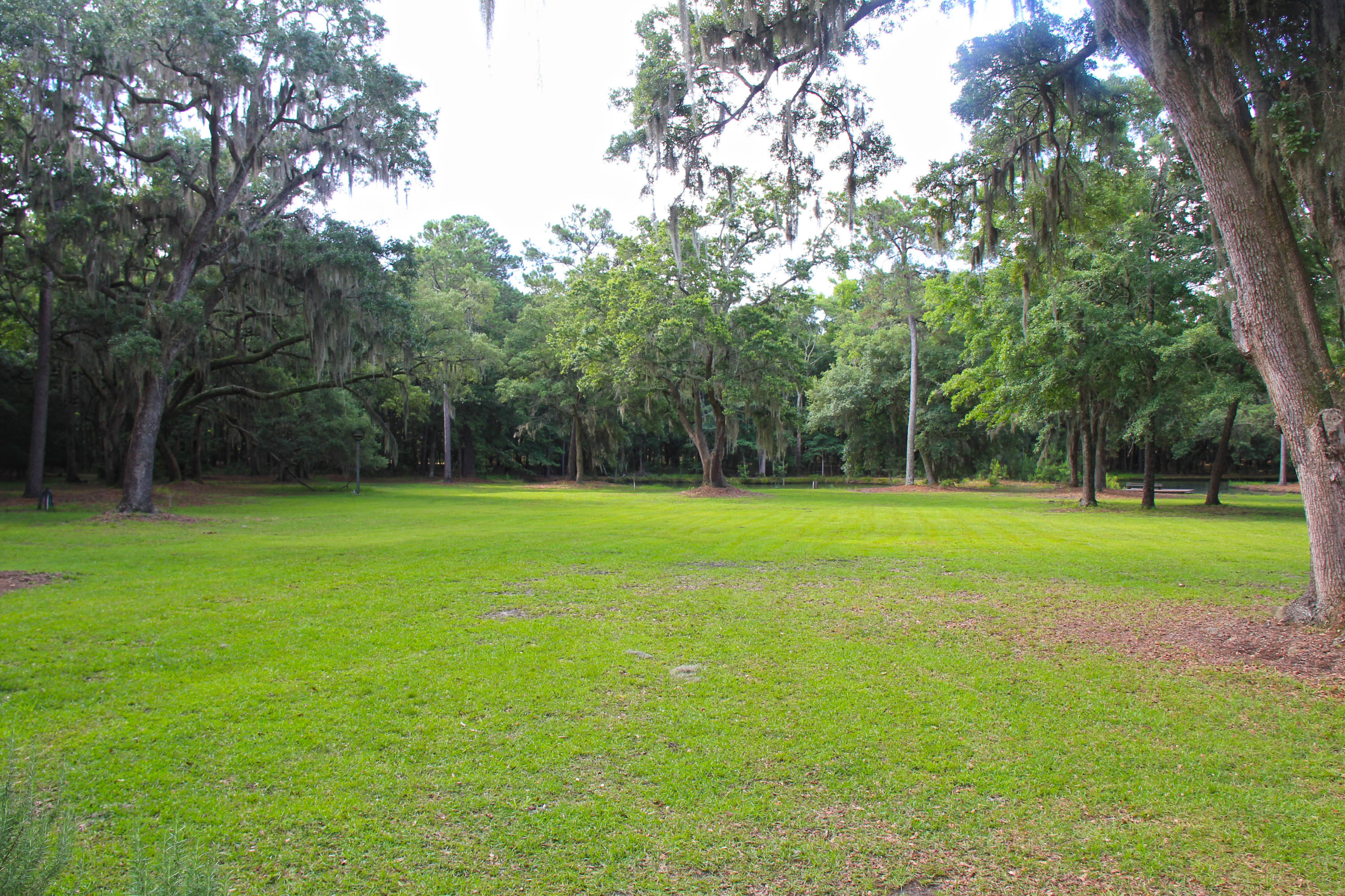6775 Bears Bluff Road Wadmalaw Island, SC 29487 - Photo 21 of 26 Backyard of the main house