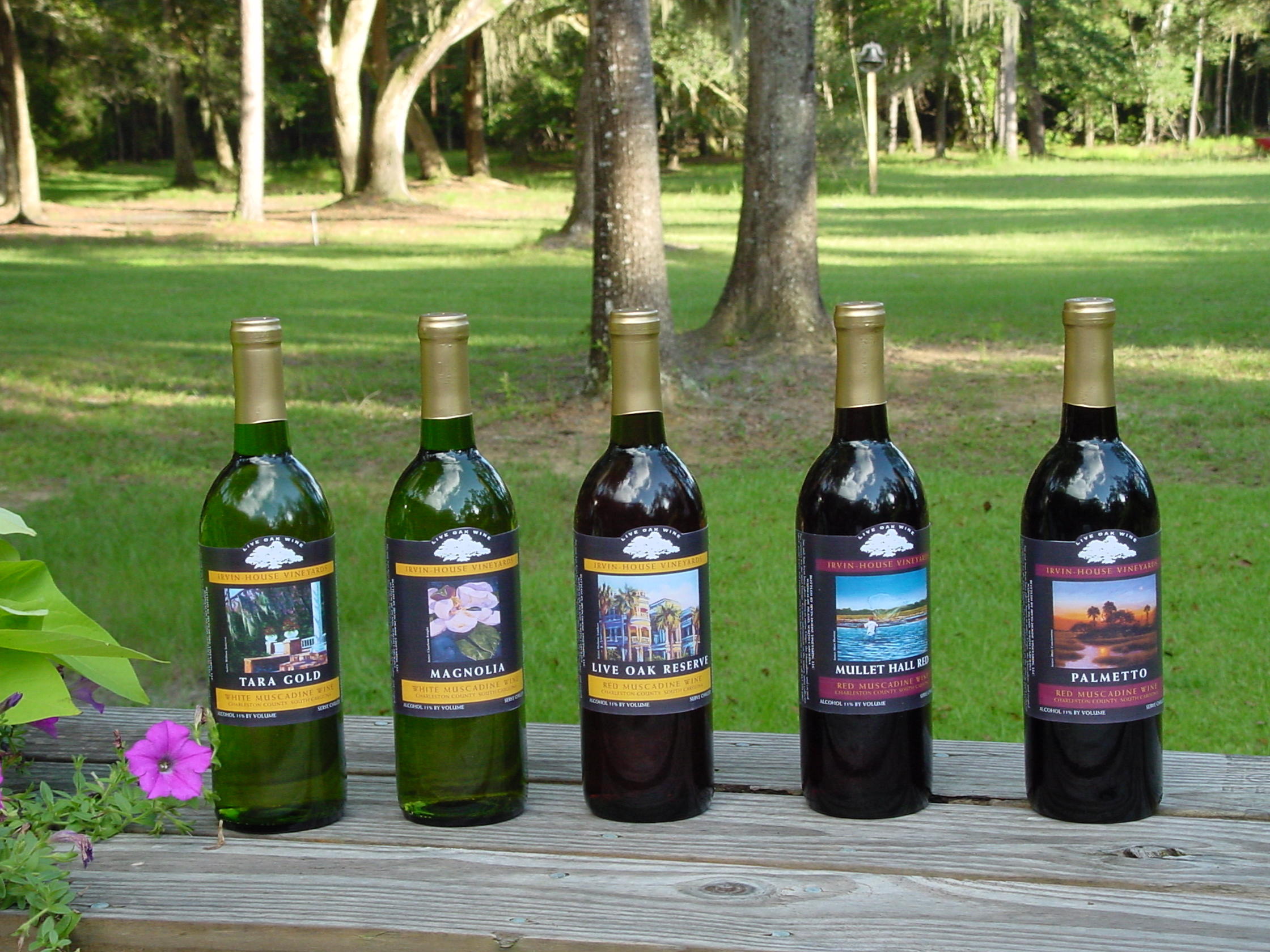 6775 Bears Bluff Road Wadmalaw Island, SC 29487 - Photo 26 of 26 SC's only domestic winery!