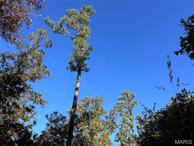 $159,900 | 0 Old Jefferson City Road, Potosi, MO 63664