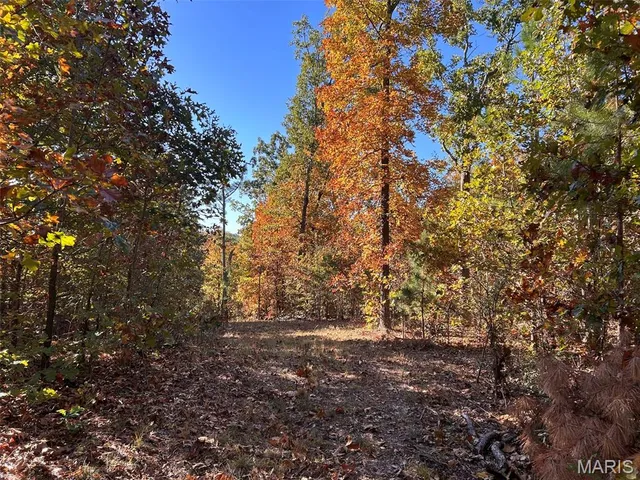 $159,900 | 0 Old Jefferson City Road, Potosi, MO 63664