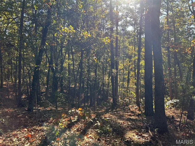 $159,900 | 0 Old Jefferson City Road, Potosi, MO 63664